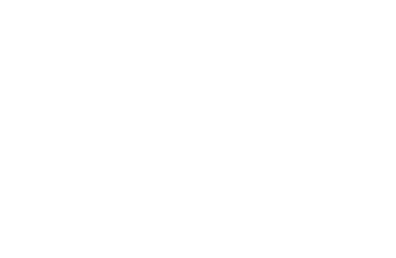 Belgrade Dance Institute Logo