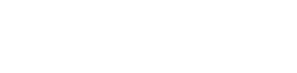 Digitalni element